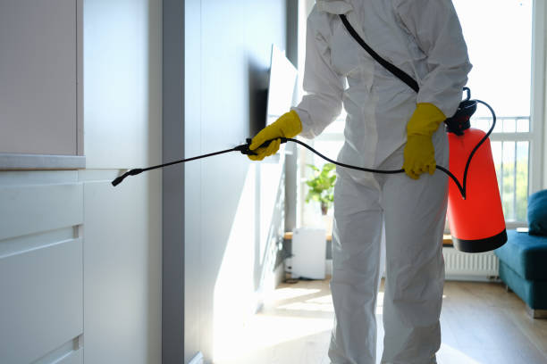 Office Mold Removal Services in South Kensington, MD