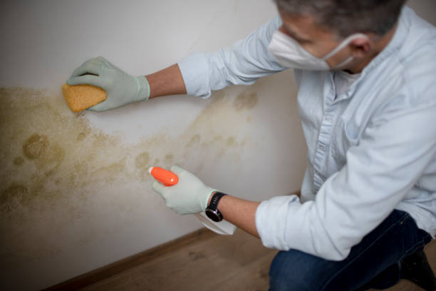 Water Damage Restoration in South Kensington, MD